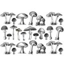 Transferbild Mushroom schwarz