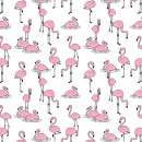 Transferbild Flamingo