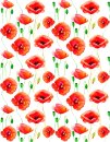 Aufglasurbild Poppies Mohnblumen