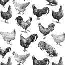 Transferbild Chicken schwarz - ca. 48,3 x 33 cm