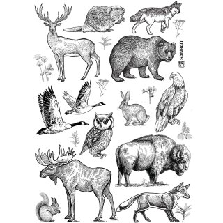 Transferbild Forest Animals
