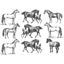 Transferbild Horse  - ca. 22,9 x 16,5 cm